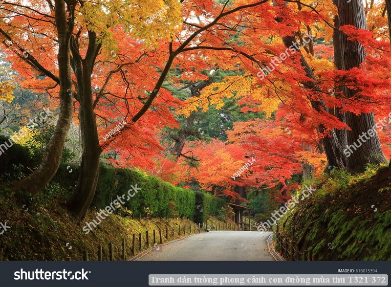 Tranh dán tường phong cảnh con đường mùa thu T321-372